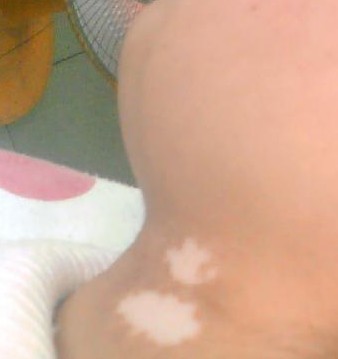 ���Ԥ���ز�����