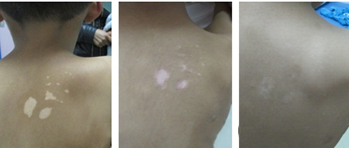 �ʺ�ƻ�֮�����桱���������ж�