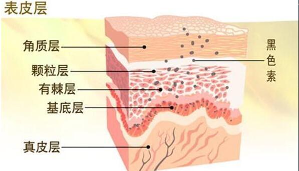 �人����������