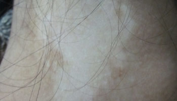 �人����������ЩΣ��