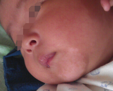 �人����Ԥ��Ҫ��Ҫ���