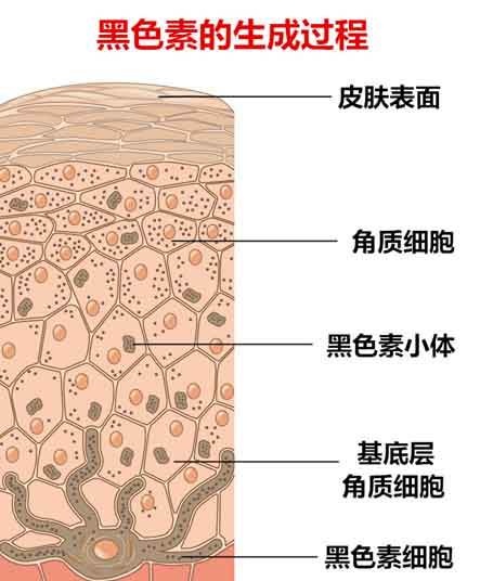 2019�ļ����繫�桰���ٸ�ɫ�¡��ƻ�