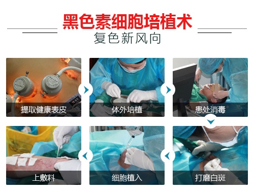 2019�ļ����繫�桰���ٸ�ɫ�¡��ƻ�