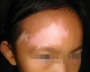 ֻѡ���������人�׵߷��ļҺ�